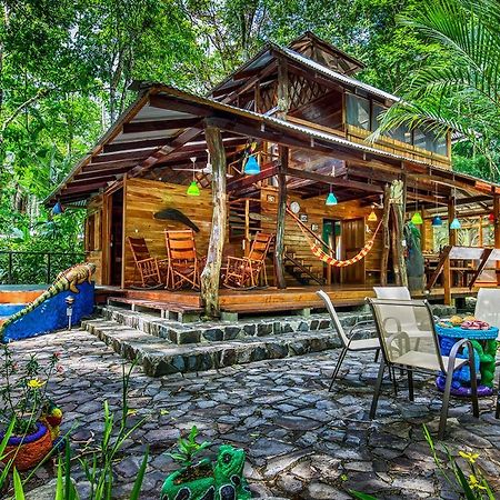 Congo Bongo Ecovillage Costa Rica Puerto Viejo de Talamanca Bagian luar foto