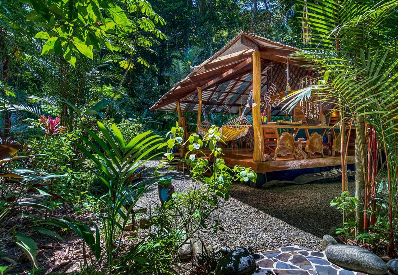 Congo Bongo Ecovillage Costa Rica Puerto Viejo de Talamanca Bagian luar foto