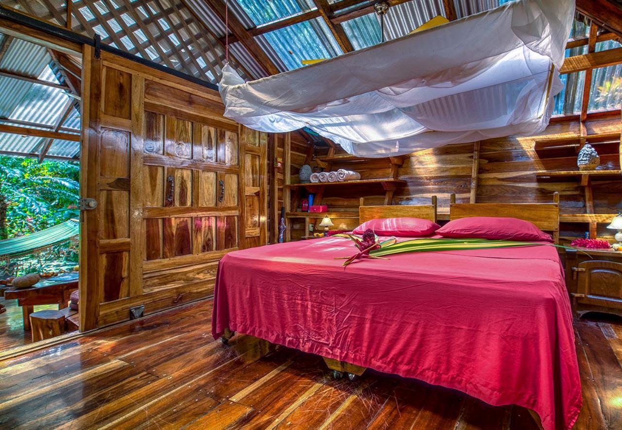 Congo Bongo Ecovillage Costa Rica Puerto Viejo de Talamanca Bagian luar foto