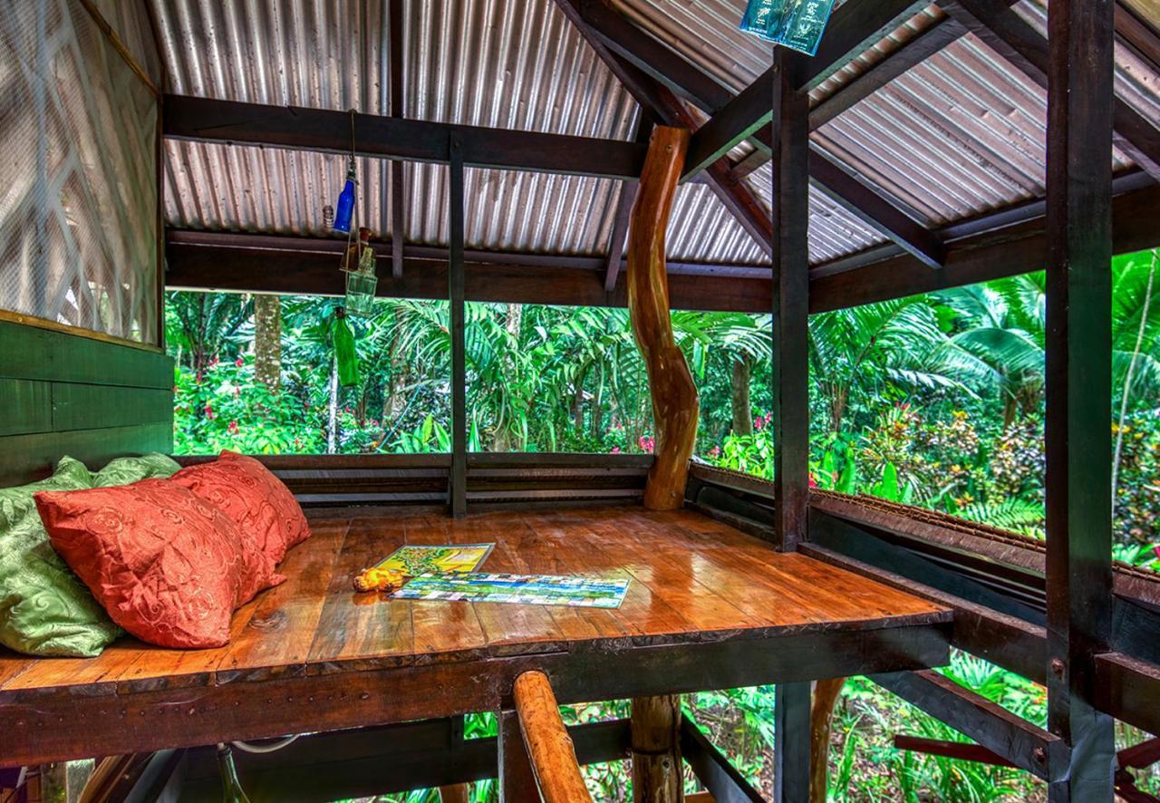 Congo Bongo Ecovillage Costa Rica Puerto Viejo de Talamanca Bagian luar foto