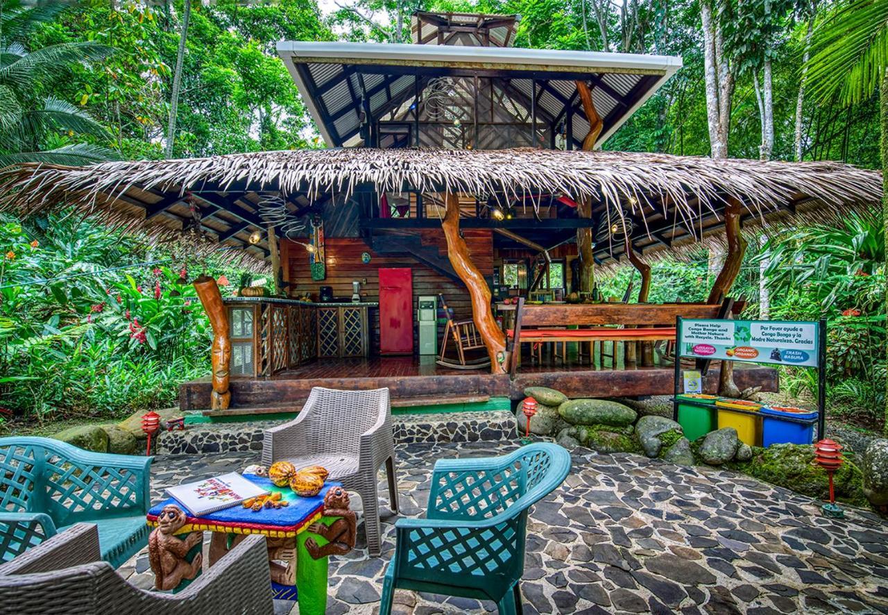 Congo Bongo Ecovillage Costa Rica Puerto Viejo de Talamanca Bagian luar foto