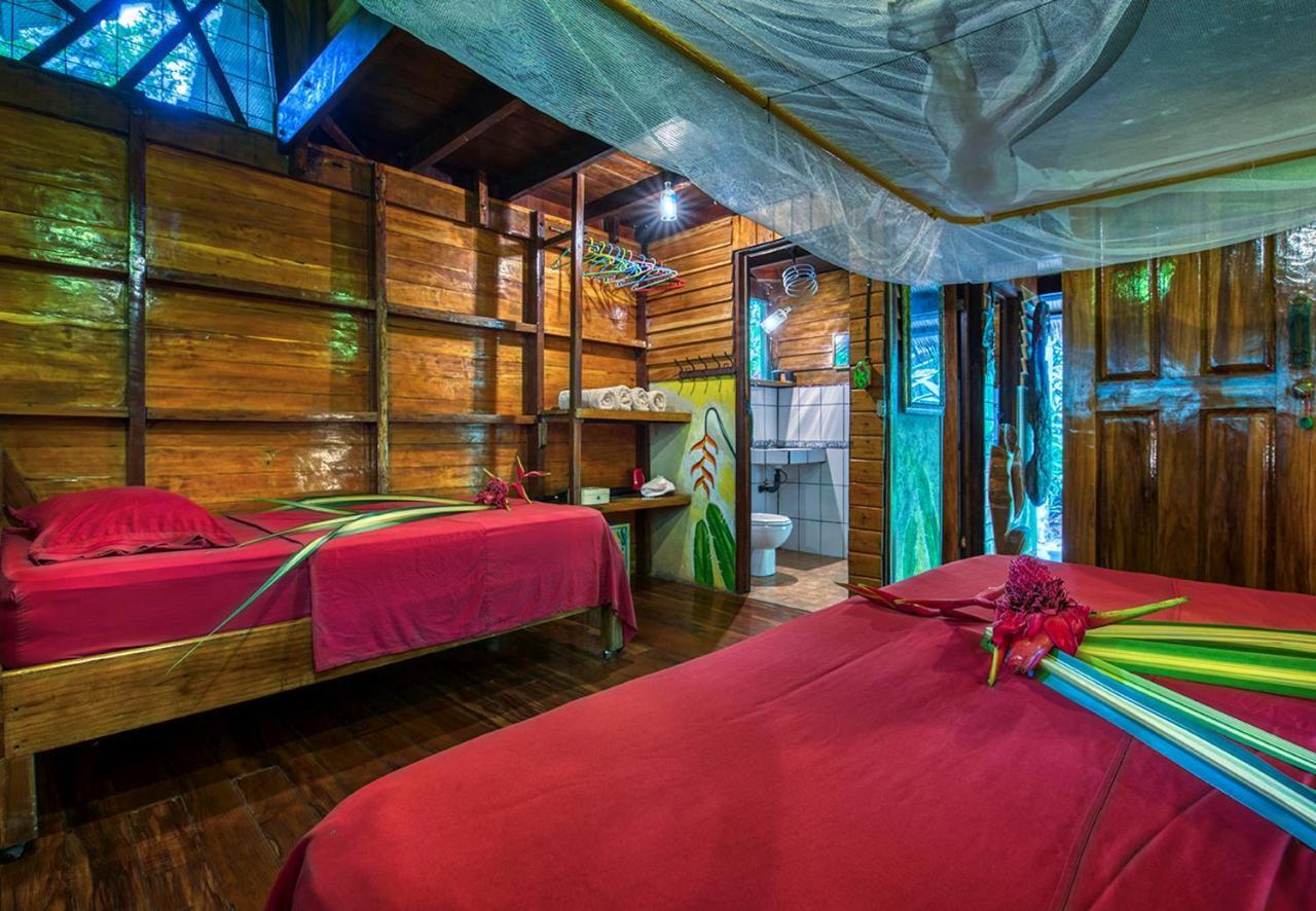 Congo Bongo Ecovillage Costa Rica Puerto Viejo de Talamanca Bagian luar foto