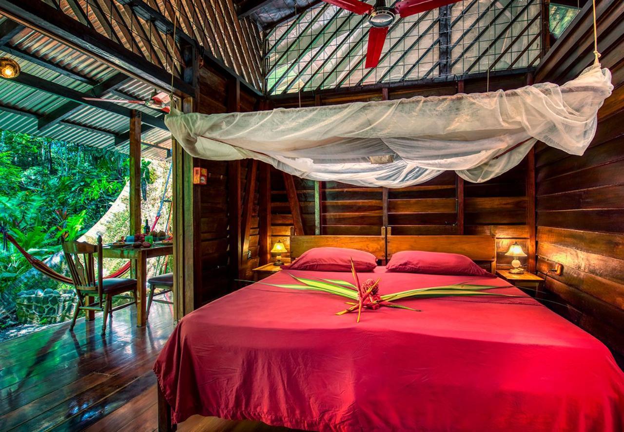Congo Bongo Ecovillage Costa Rica Puerto Viejo de Talamanca Bagian luar foto