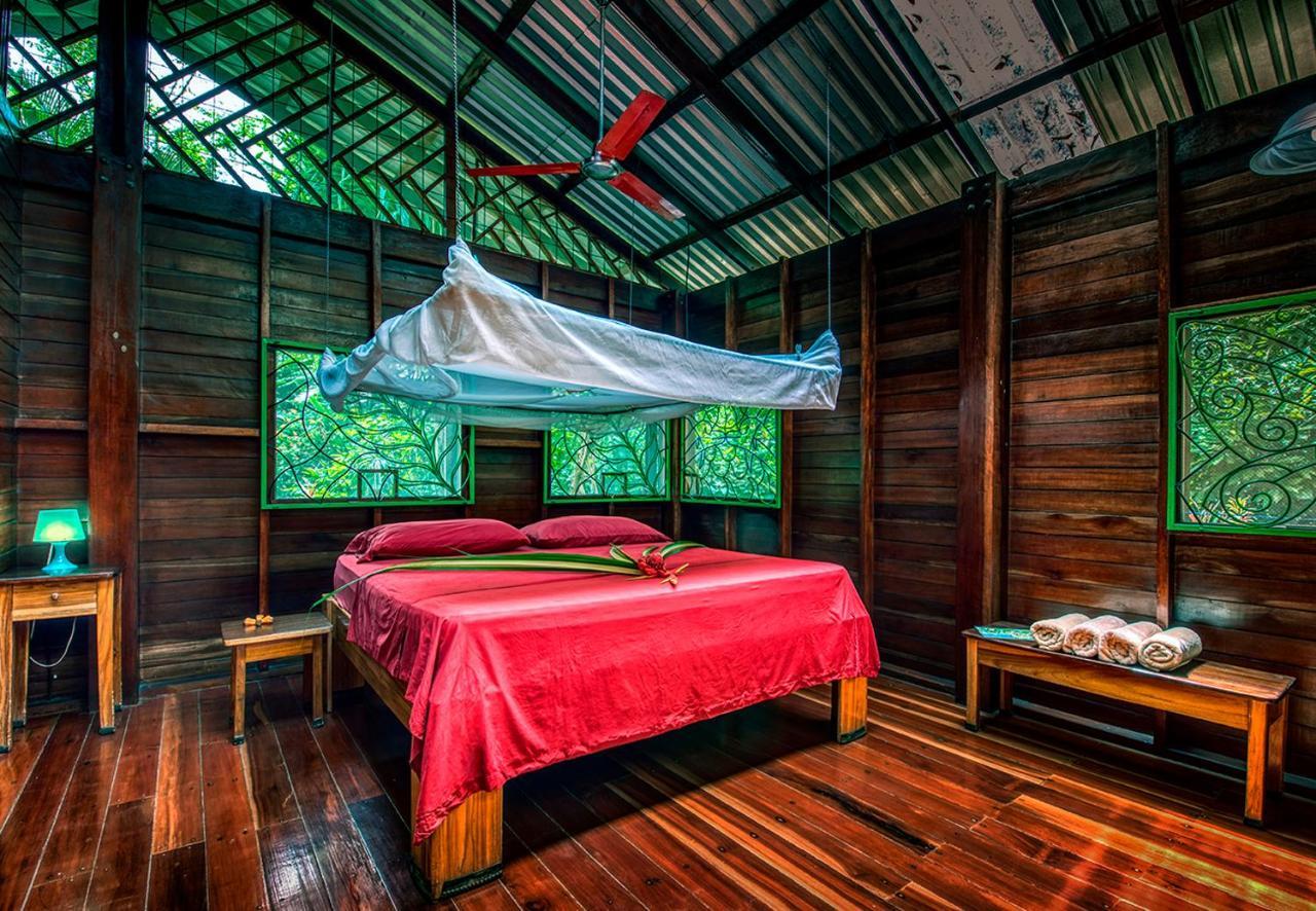 Congo Bongo Ecovillage Costa Rica Puerto Viejo de Talamanca Bagian luar foto